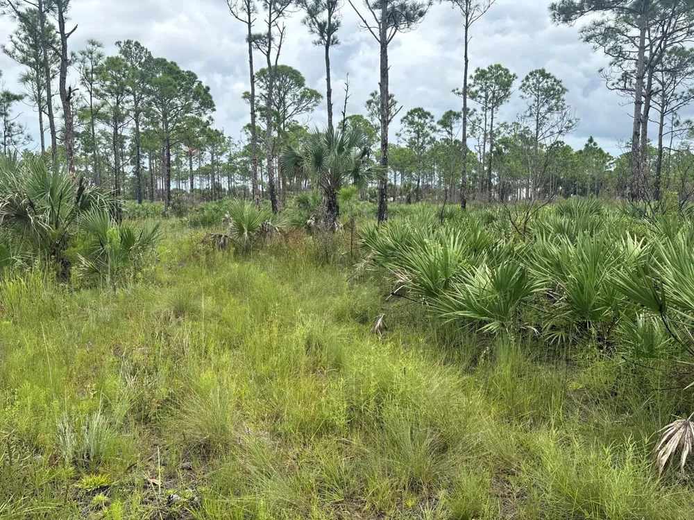 grant Road Grant Valkaria, FL 32909