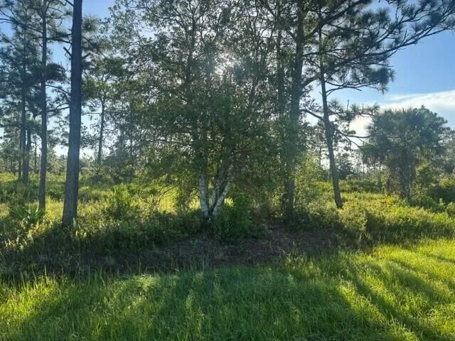 grant Road Grant Valkaria, FL 32909
