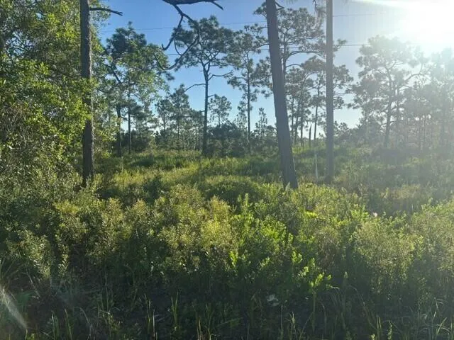 grant Road Grant Valkaria, FL 32909
