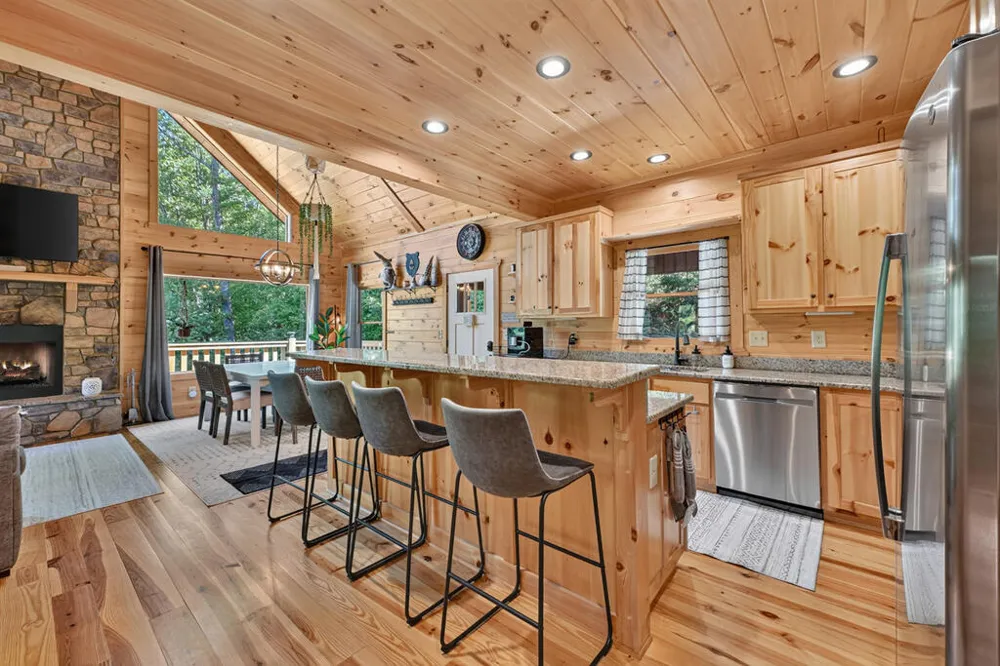 12 Dream Catcher Blue Ridge, GA 30513