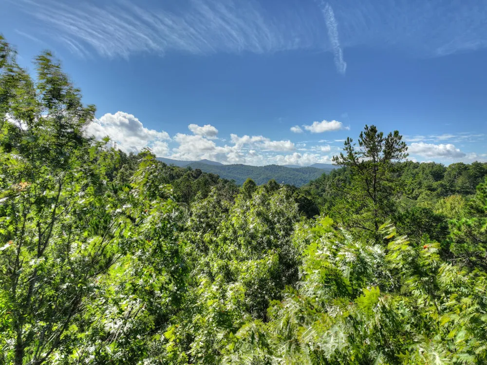 12 Dream Catcher Blue Ridge, GA 30513
