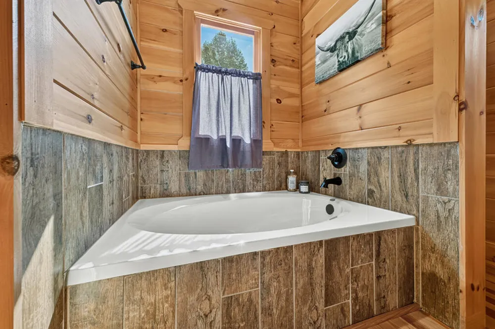 12 Dream Catcher Blue Ridge, GA 30513