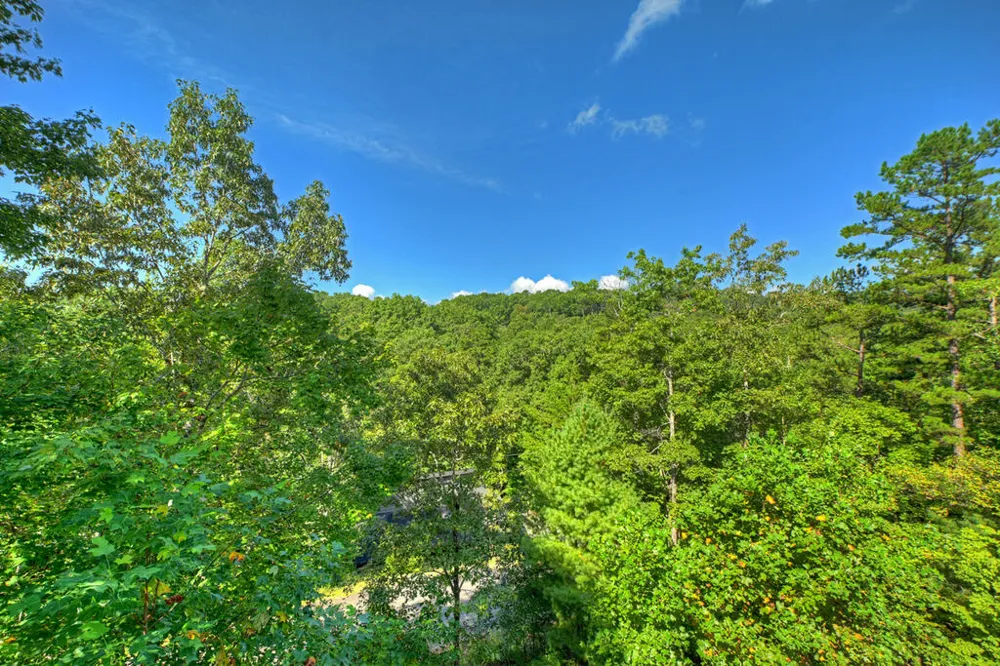 12 Dream Catcher Blue Ridge, GA 30513