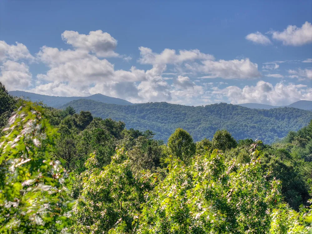12 Dream Catcher Blue Ridge, GA 30513