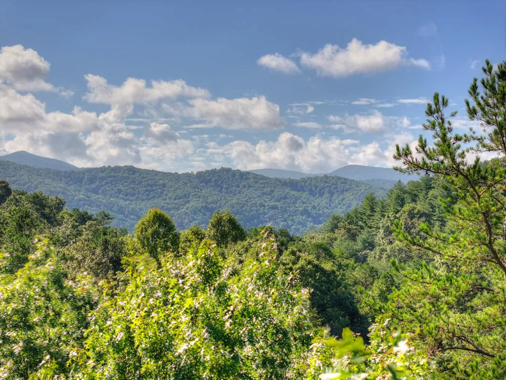 12 Dream Catcher Blue Ridge, GA 30513