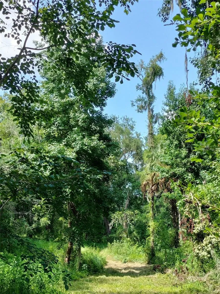 35949 BOZEMAN ROAD Dade City, FL 33525