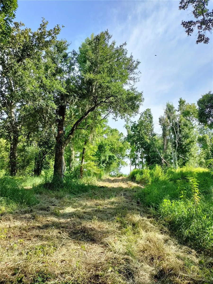 35949 BOZEMAN ROAD Dade City, FL 33525