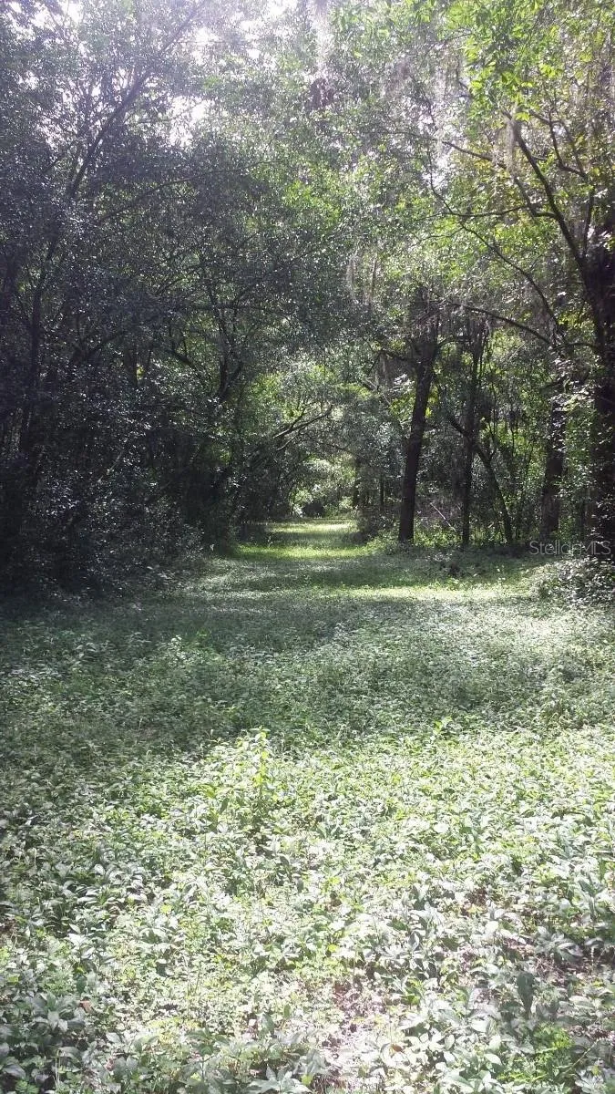 35949 BOZEMAN ROAD Dade City, FL 33525