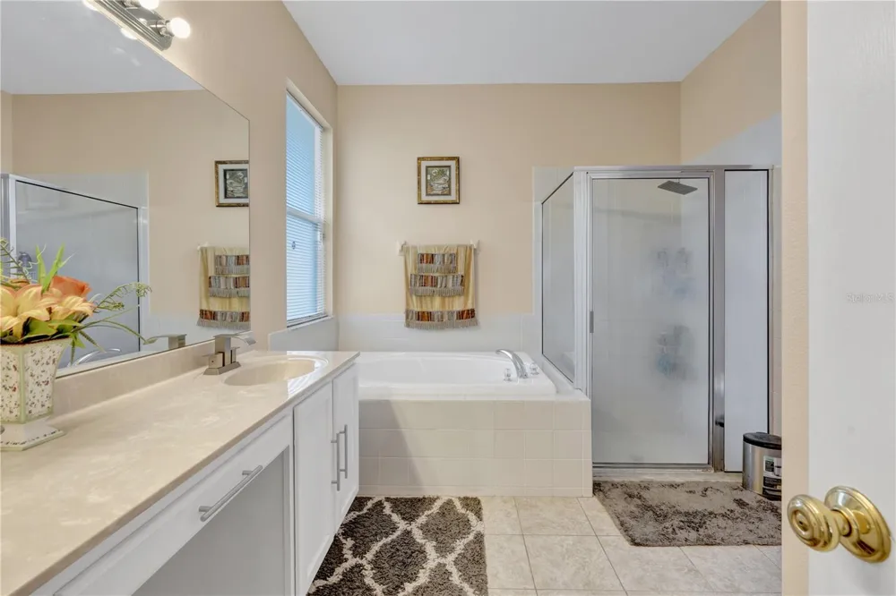12847 SOLOLA WAY New Port Richey, FL 34655