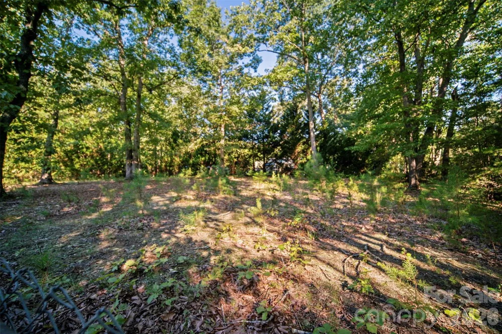 2089 Bison Trail Maiden, NC 28650
