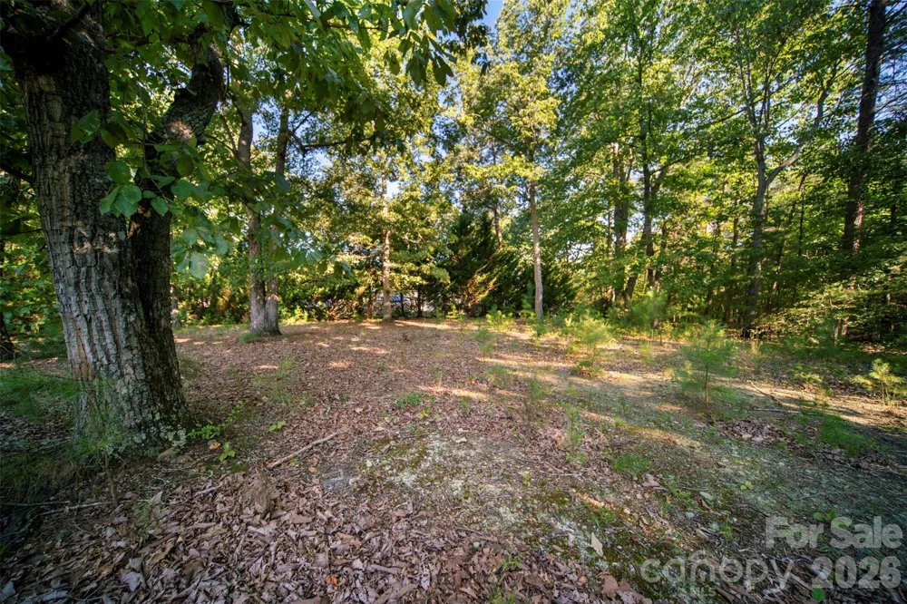 2089 Bison Trail Maiden, NC 28650