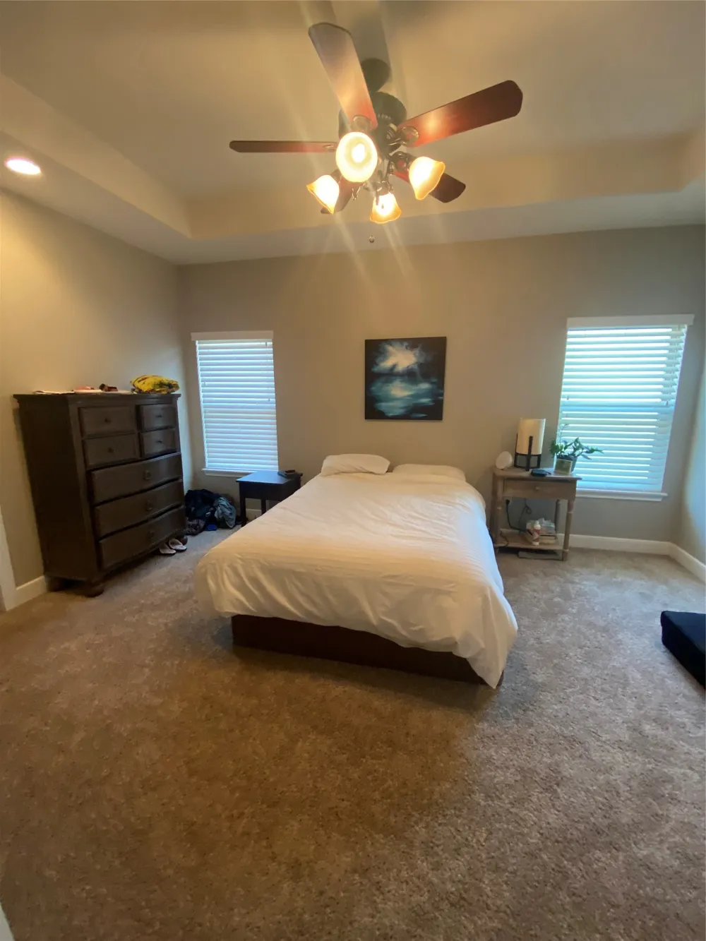 309 Mill Creek Drive Abilene, TX 79602