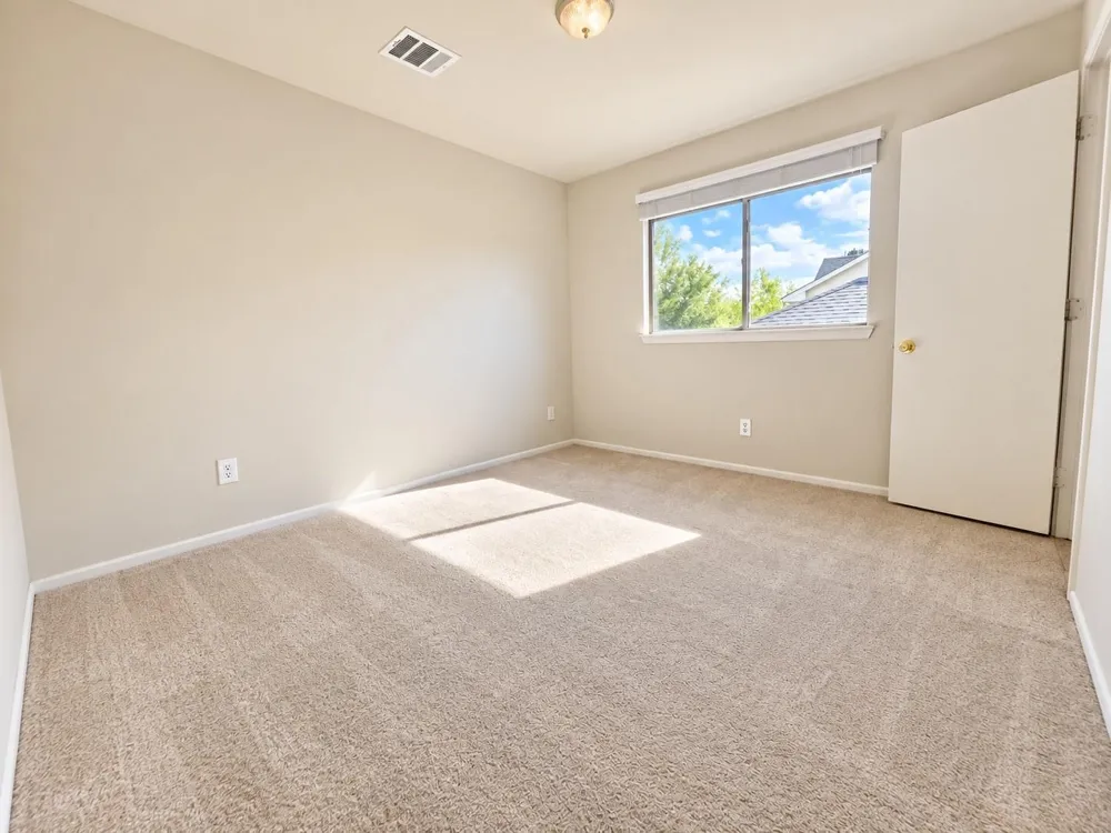 19513 Richland Springs Drive Hockley, TX 77073