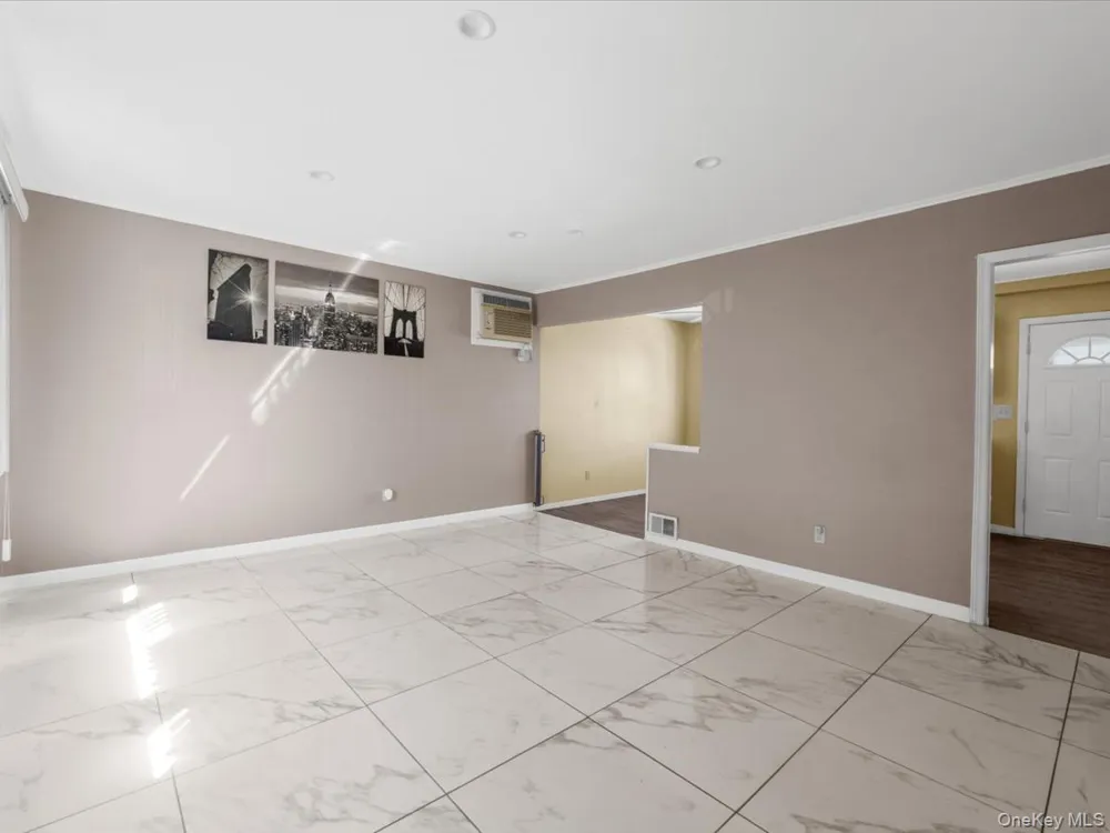 77 LITCHFIELD AVENUE Elmont, NY 11003
