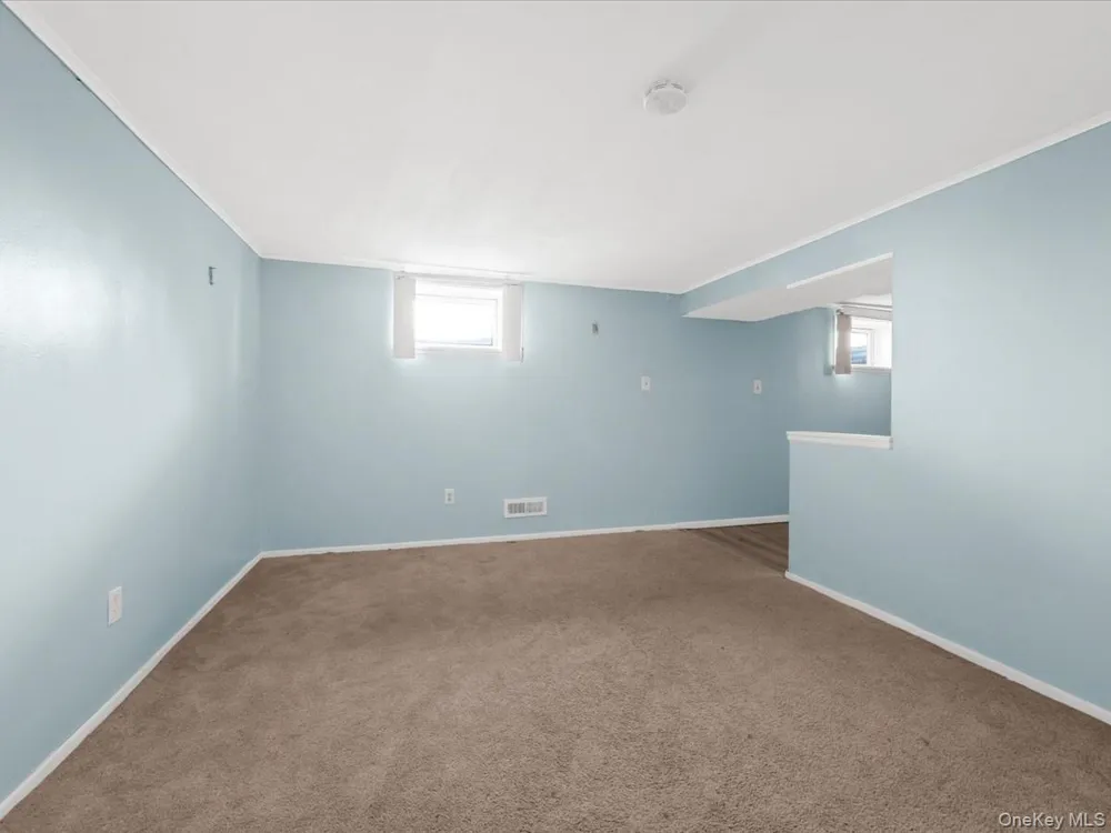 77 LITCHFIELD AVENUE Elmont, NY 11003