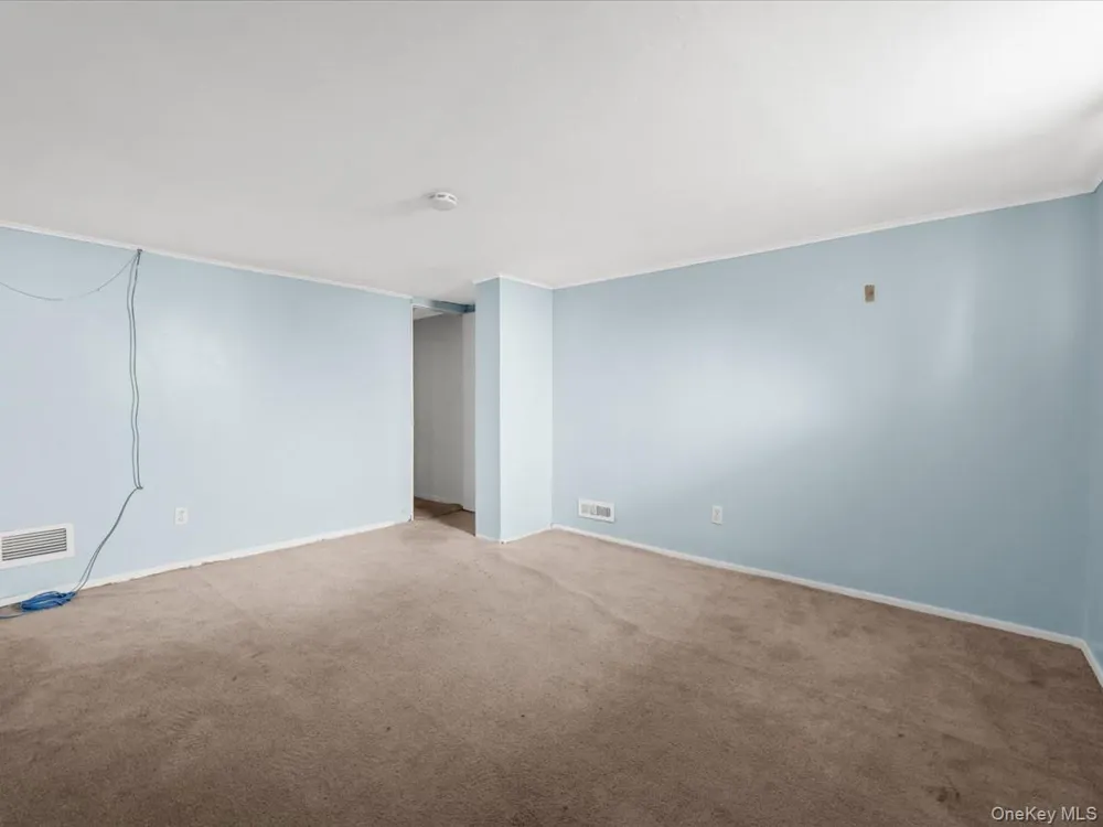 77 LITCHFIELD AVENUE Elmont, NY 11003
