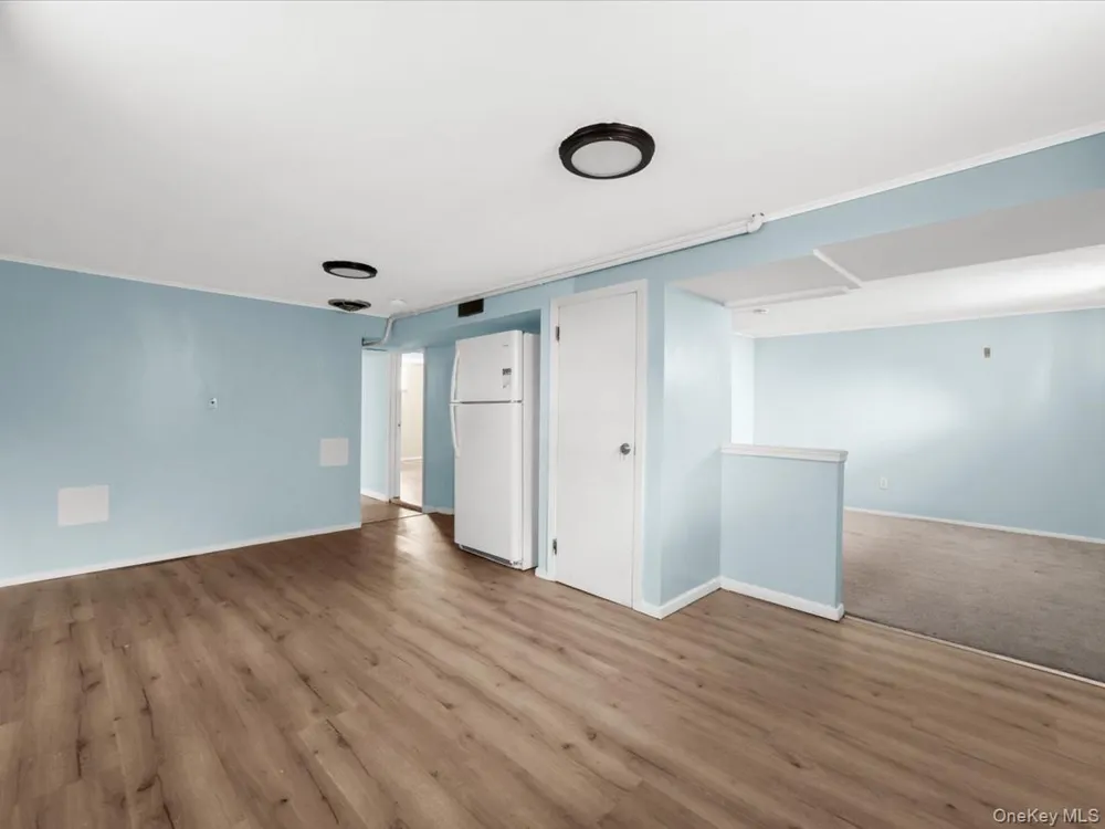 77 LITCHFIELD AVENUE Elmont, NY 11003