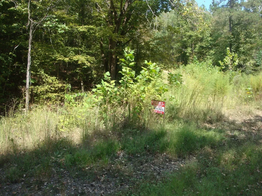561 Allens Creek Rd Hohenwald, TN 38462