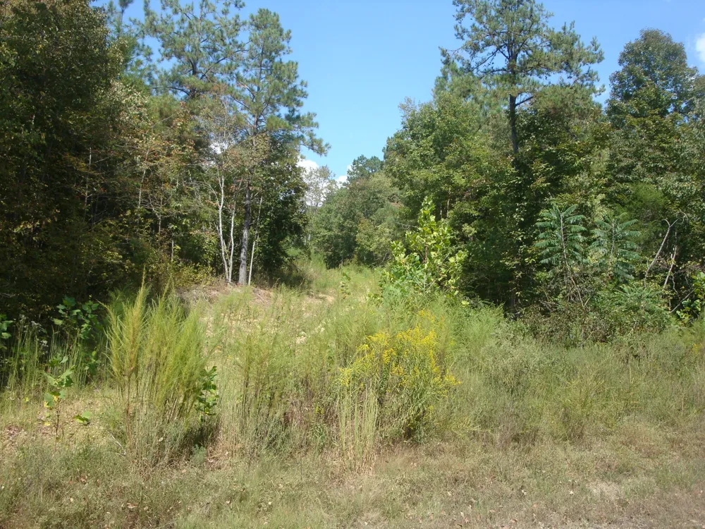 561 Allens Creek Rd Hohenwald, TN 38462