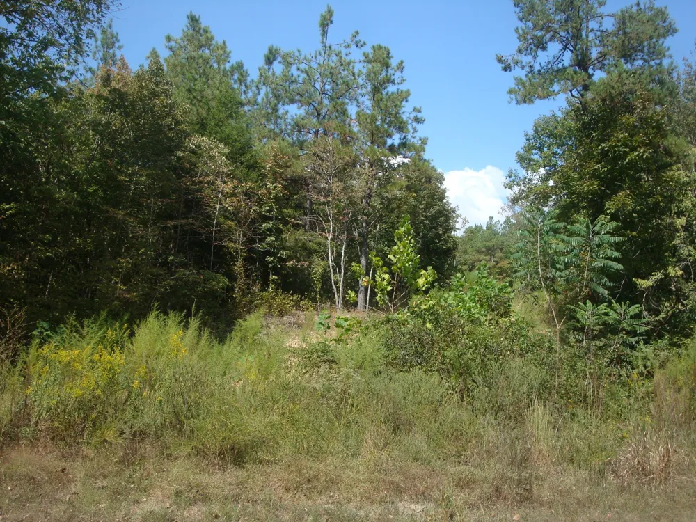 561 Allens Creek Rd Hohenwald, TN 38462