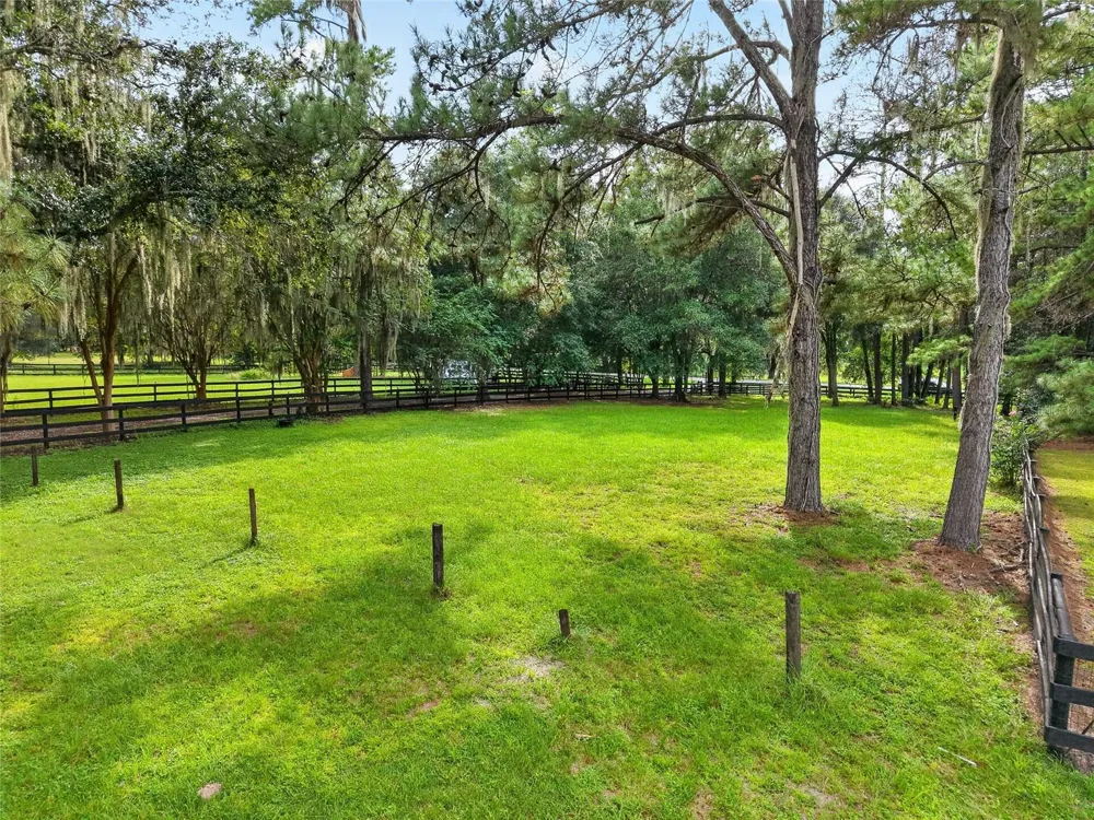 17931 SE COUNTY ROAD 234 Micanopy, FL 32667