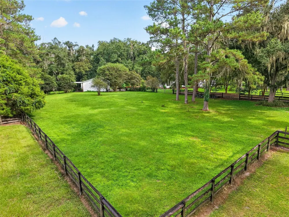 17931 SE COUNTY ROAD 234 Micanopy, FL 32667