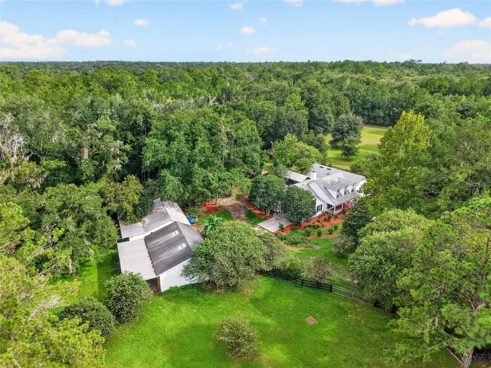 17931 SE COUNTY ROAD 234 Micanopy, FL 32667