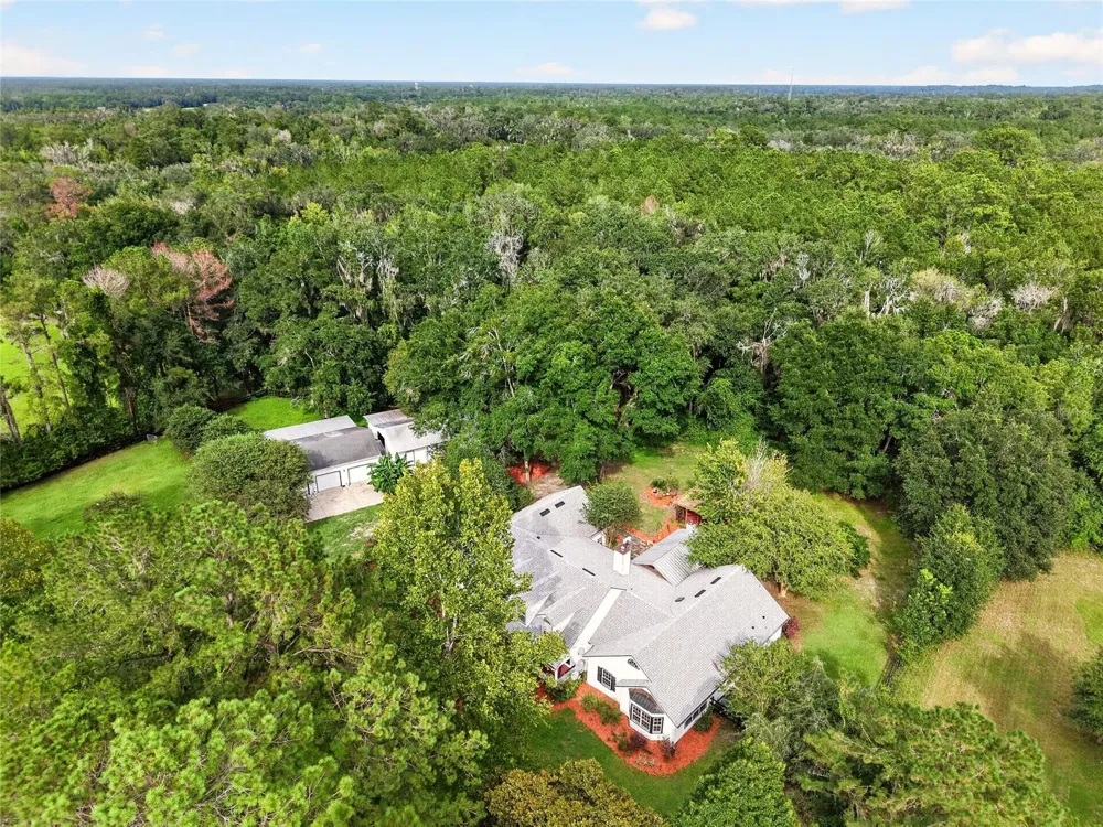17931 SE COUNTY ROAD 234 Micanopy, FL 32667