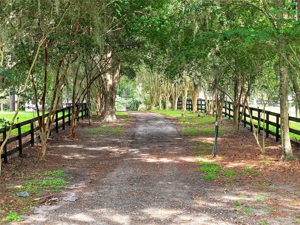 17931 SE COUNTY ROAD 234 Micanopy, FL 32667