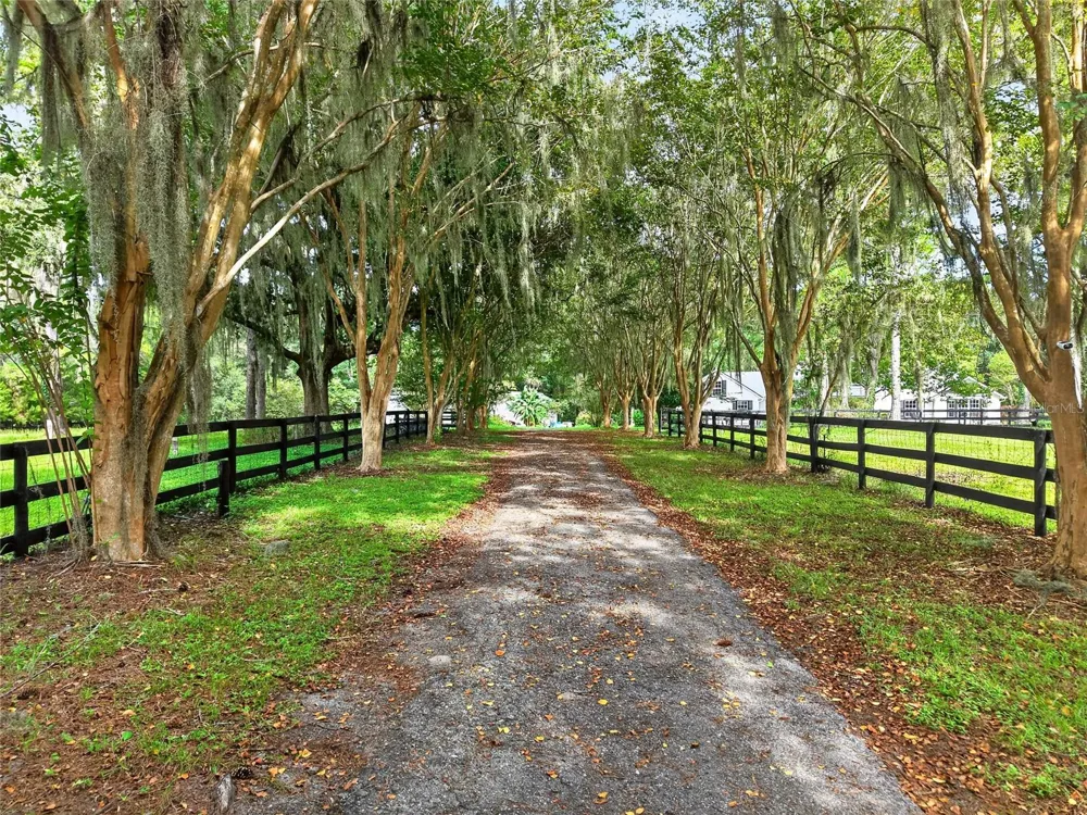 17931 SE COUNTY ROAD 234 Micanopy, FL 32667