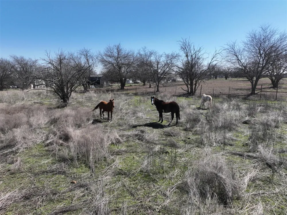 8824 Clearview Drive Joshua, TX 76058