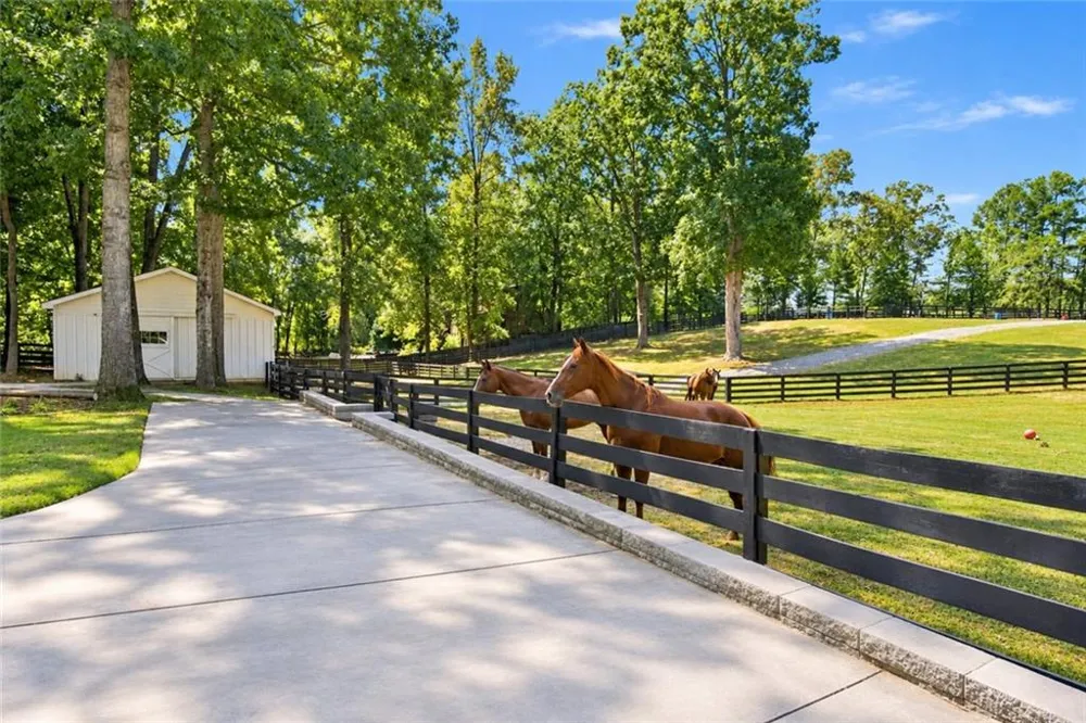 297 Henderson Lake Drive Canton, GA 30115
