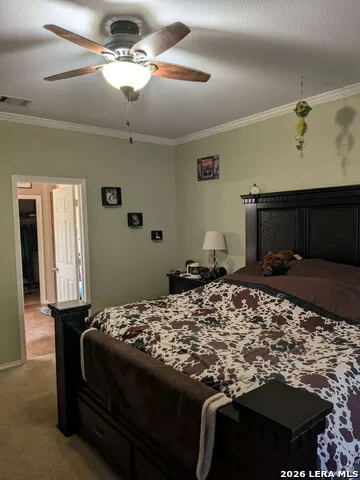 2121 Dragon TRL New Braunfels, TX 78130
