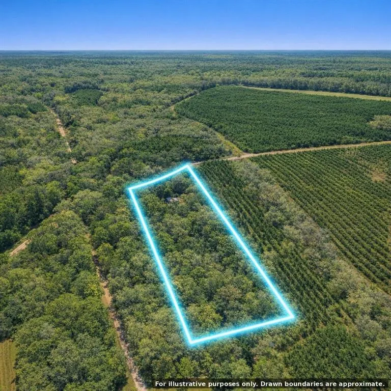 5435 Springhill Road Folkston, GA 31537