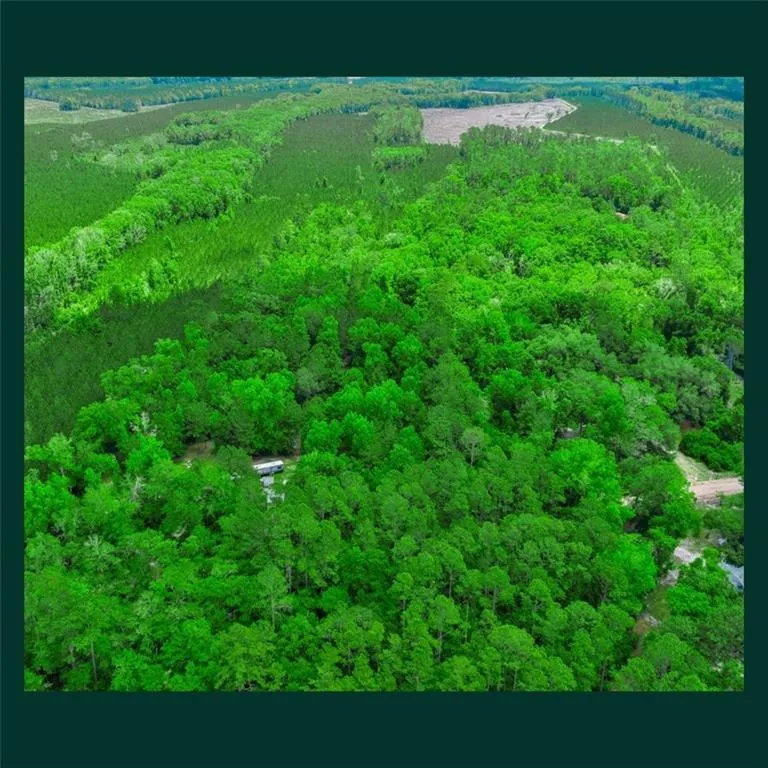 5435 Springhill Road Folkston, GA 31537