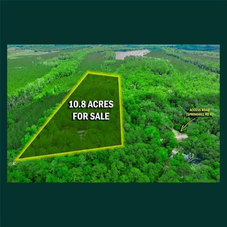 5435 Springhill Road Folkston, GA 31537