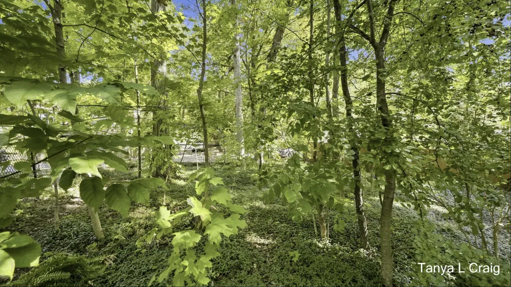3652 Reeds Lake Boulevard SE Grand Rapids, MI 49506