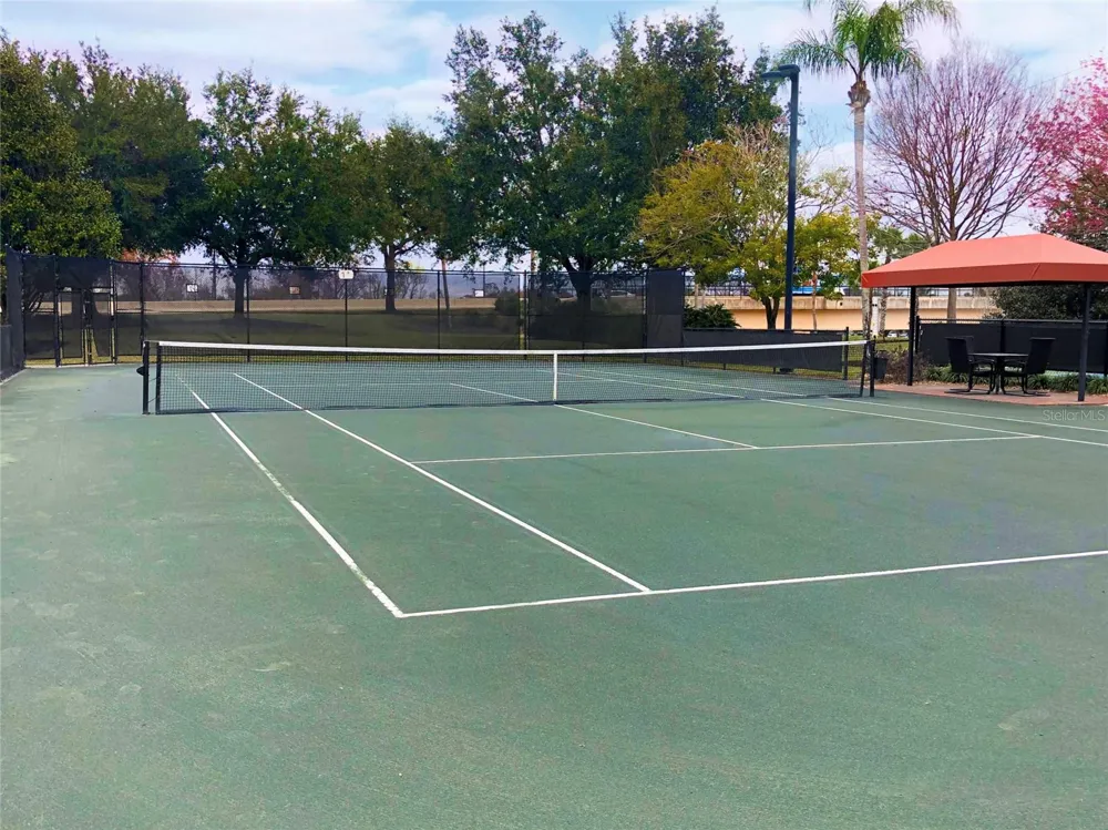 949 DESERT MOUNTAIN COURT Kissimmee, FL 34747