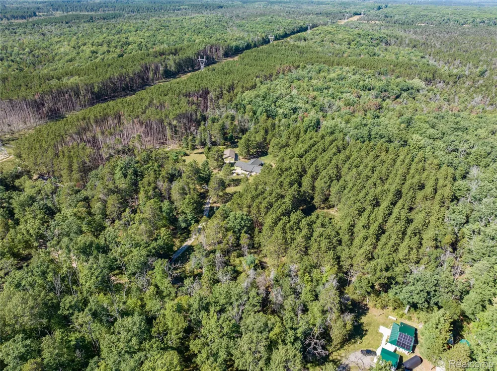 1178 E Hughes Lake Road Big Creek Township, MI 48654