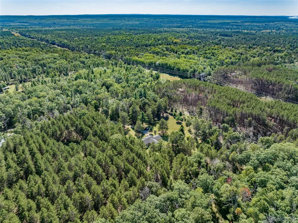1178 E Hughes Lake Road Big Creek Township, MI 48654