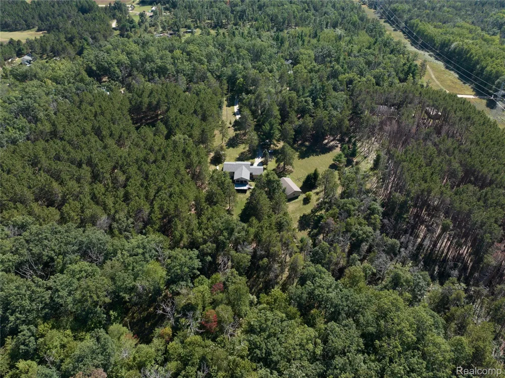 1178 E Hughes Lake Road Big Creek Township, MI 48654