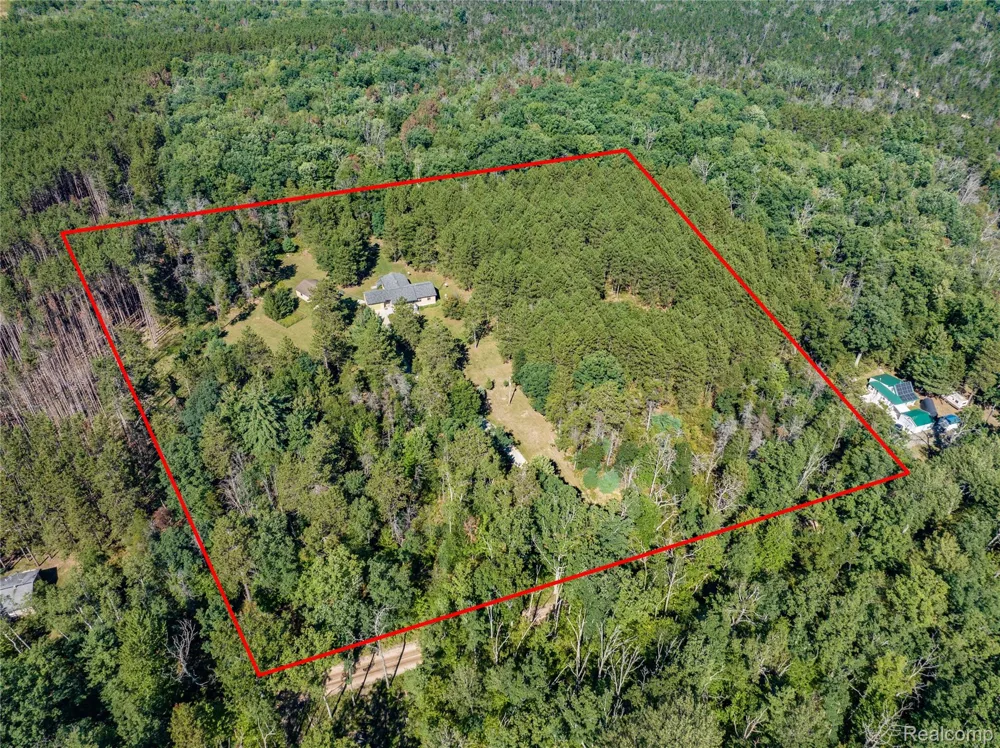 1178 E Hughes Lake Road Big Creek Township, MI 48654