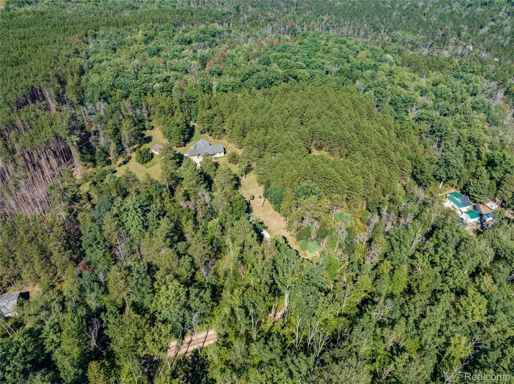 1178 E Hughes Lake Road Big Creek Township, MI 48654