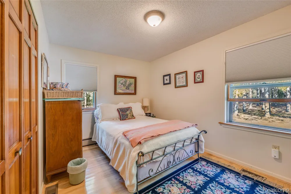 1178 E Hughes Lake Road Big Creek Township, MI 48654