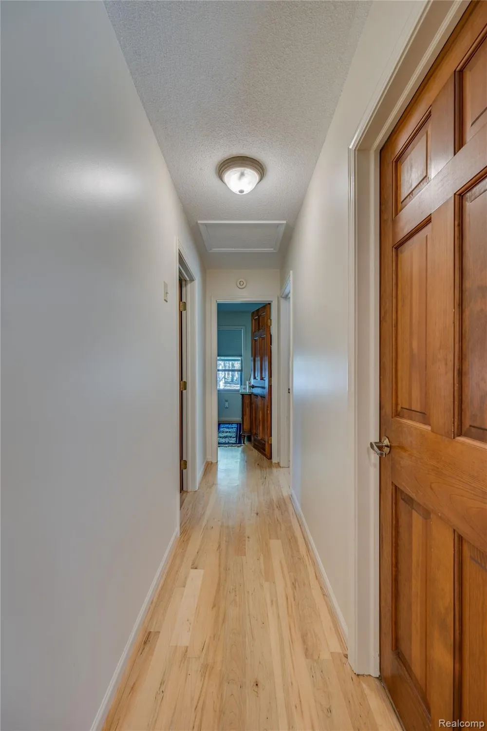 1178 E Hughes Lake Road Big Creek Township, MI 48654