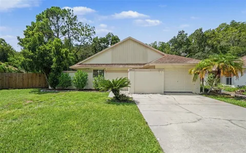 5953 BIRCHWOOD DRIVE