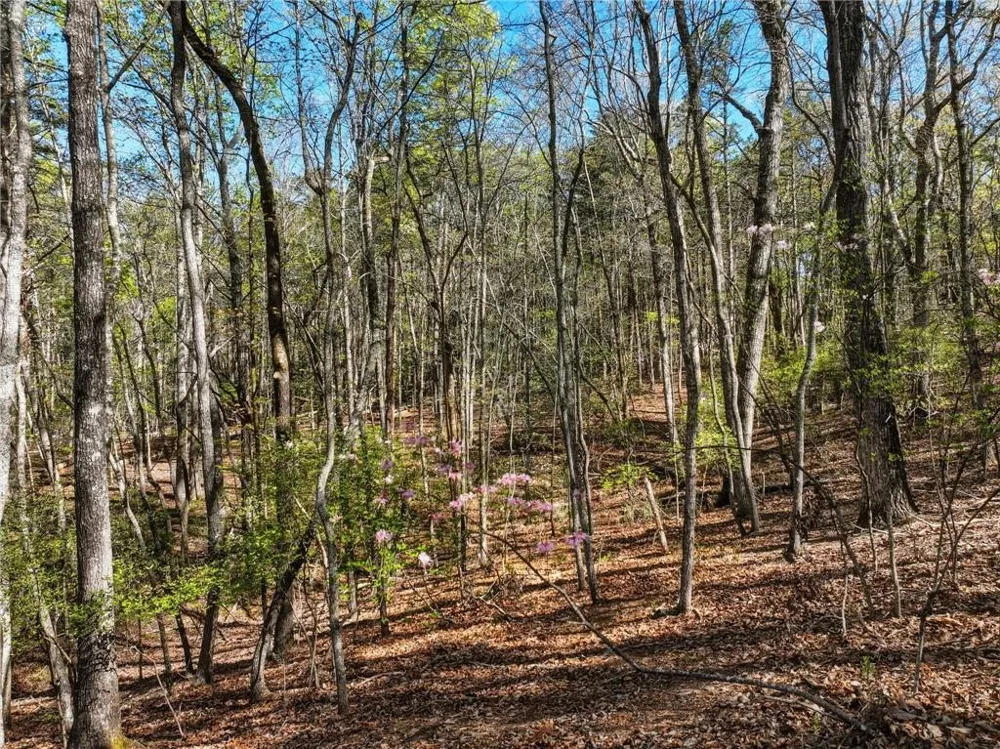 320 Fern Park Drive Dawsonville, GA 30534