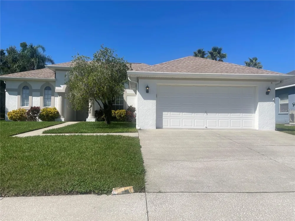 3941 ROSWELL PLACE Land O Lakes, FL 34639