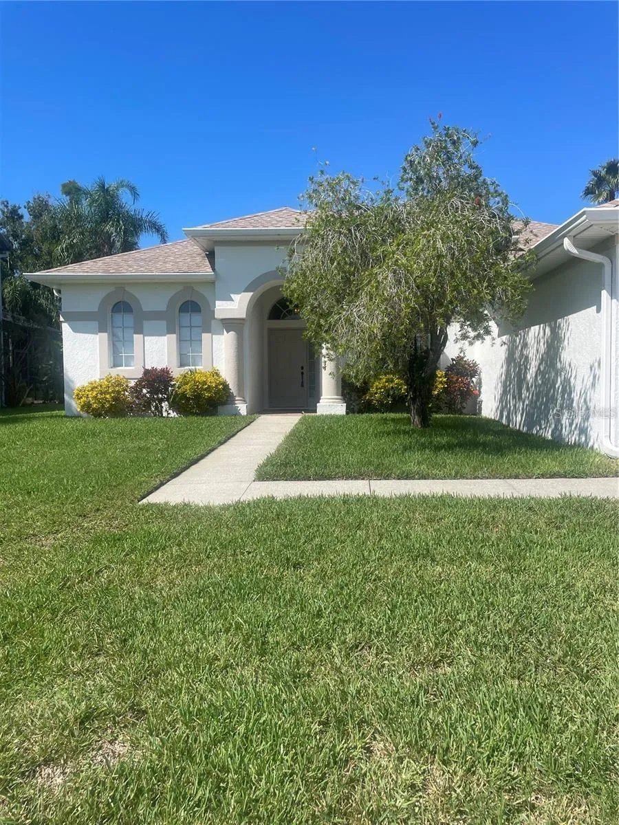 3941 ROSWELL PLACE Land O Lakes, FL 34639