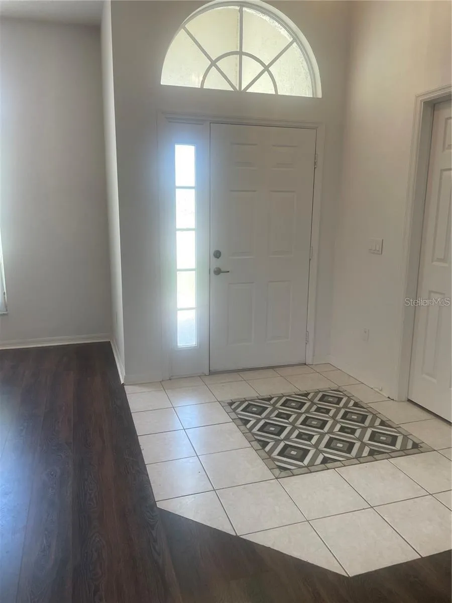 3941 ROSWELL PLACE Land O Lakes, FL 34639